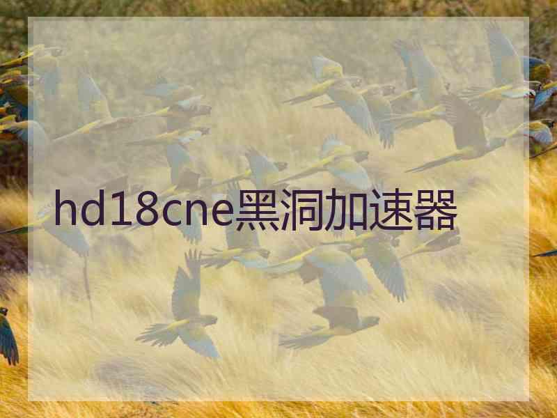 hd18cne黑洞加速器