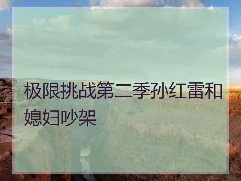 极限挑战第二季孙红雷和媳妇吵架