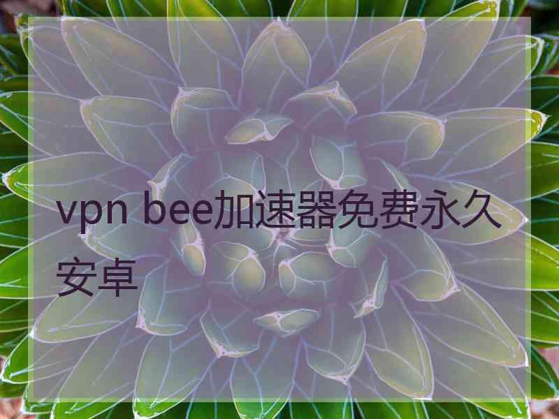 vpn bee加速器免费永久安卓