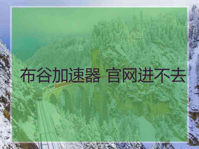 布谷加速器 官网进不去