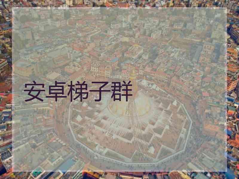 安卓梯子群