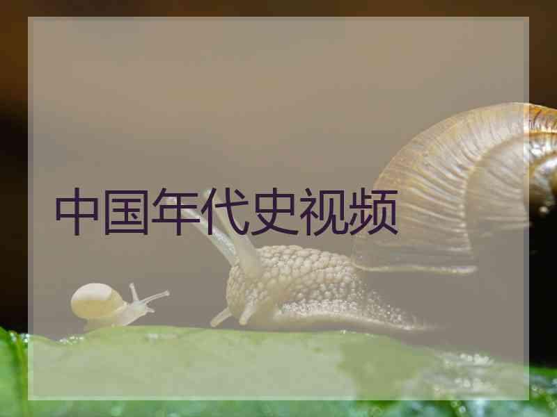 中国年代史视频