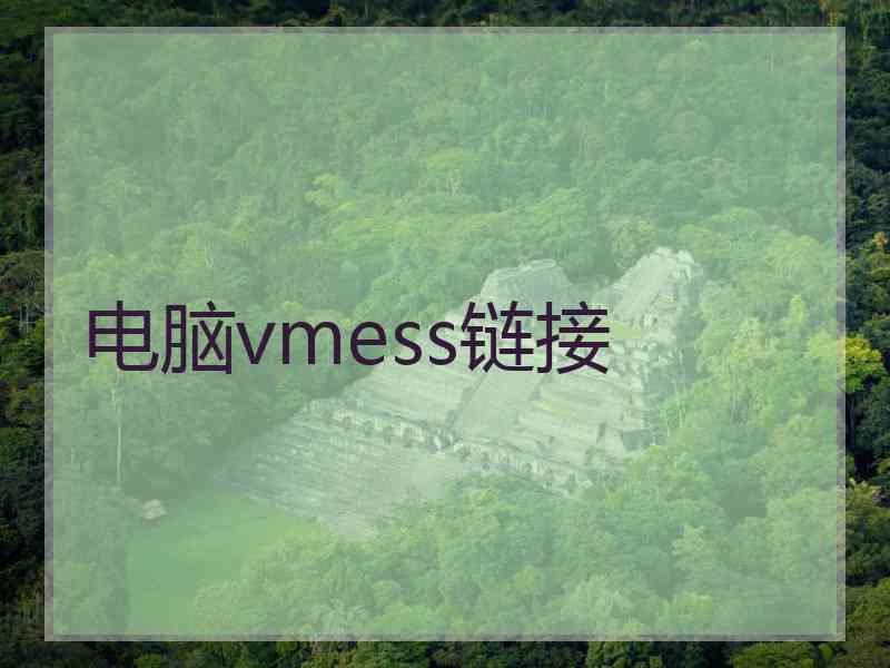 电脑vmess链接