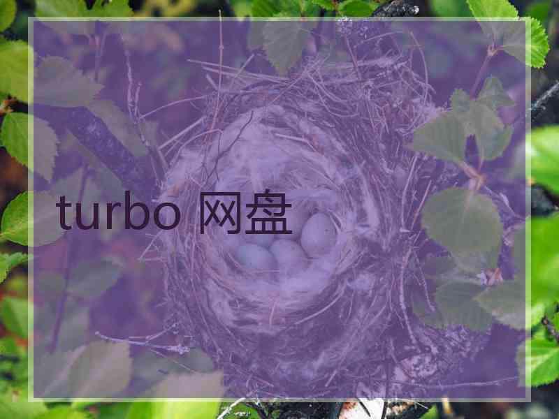 turbo 网盘