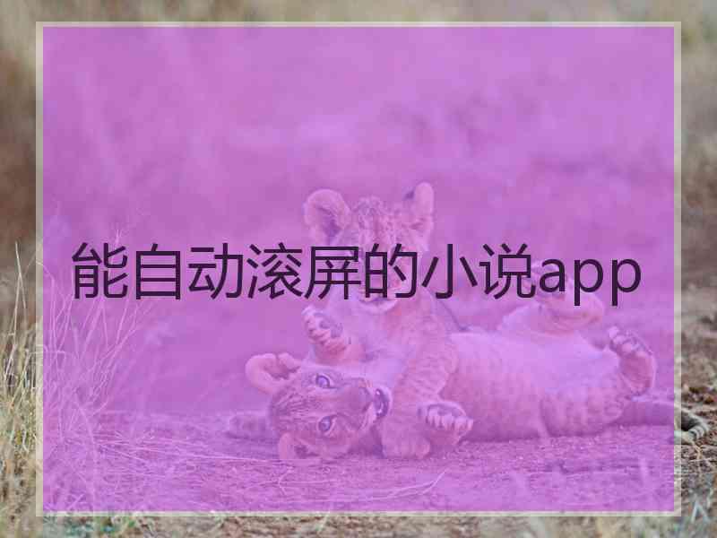 能自动滚屏的小说app