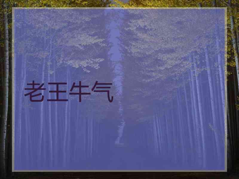 老王牛气