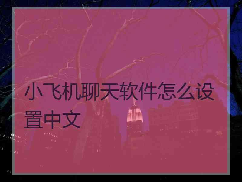 小飞机聊天软件怎么设置中文