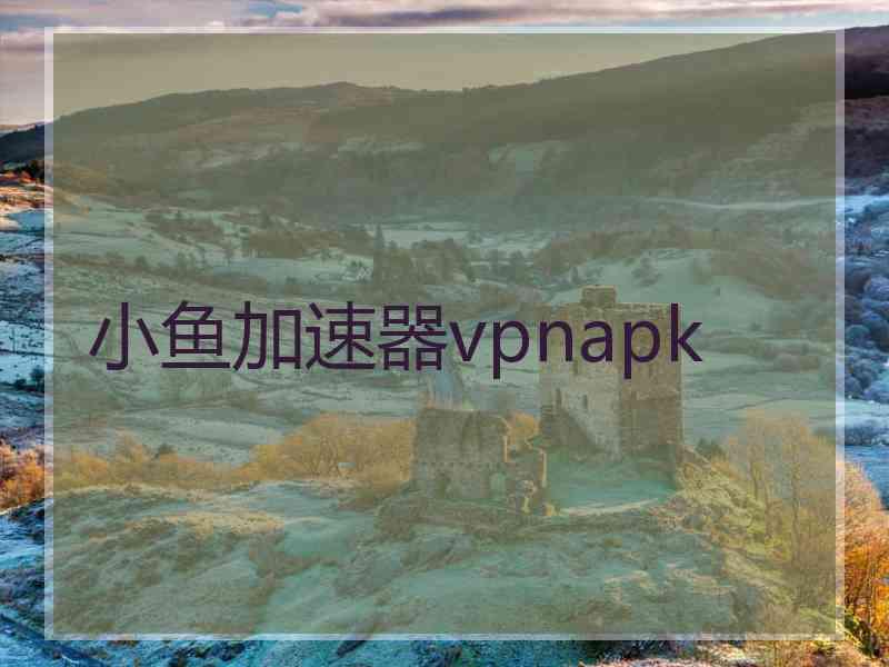 小鱼加速器vpnapk