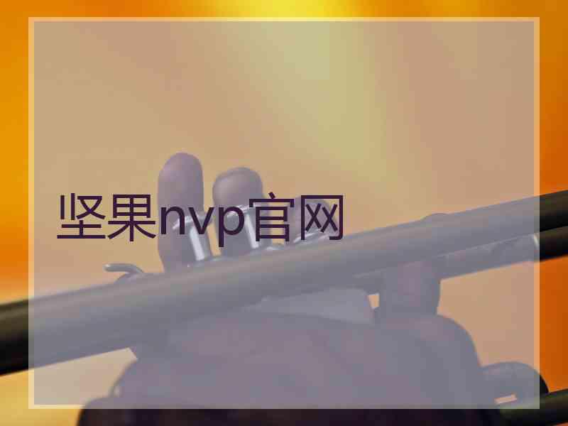坚果nvp官网