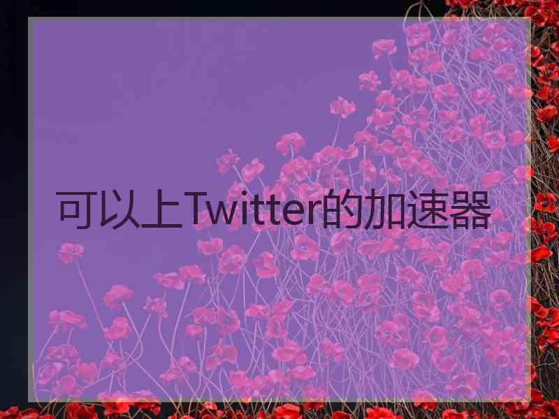 可以上Twitter的加速器