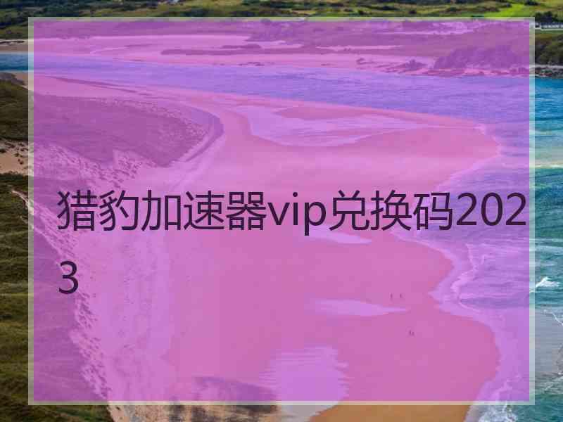 猎豹加速器vip兑换码2023