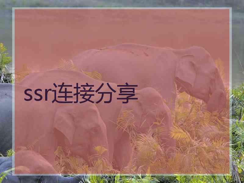 ssr连接分享