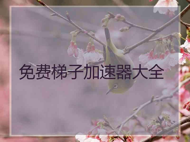 免费梯子加速器大全