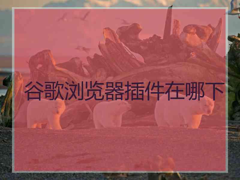 谷歌浏览器插件在哪下