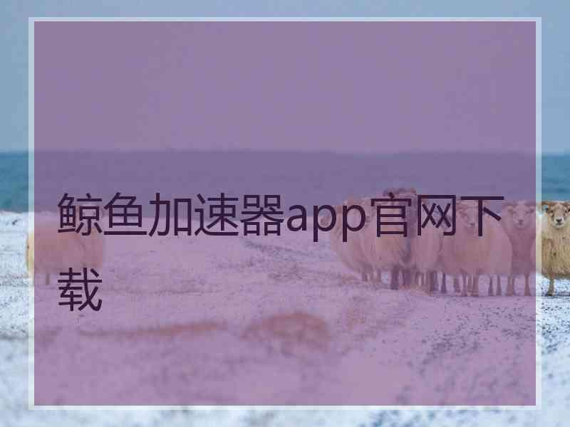 鲸鱼加速器app官网下载