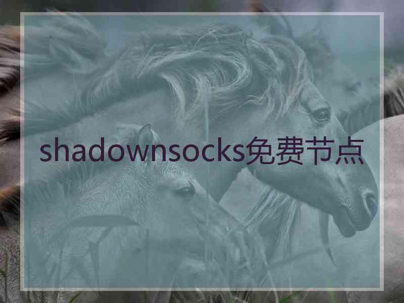 shadownsocks免费节点