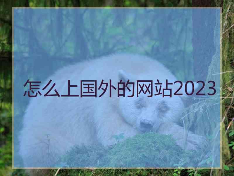 怎么上国外的网站2023