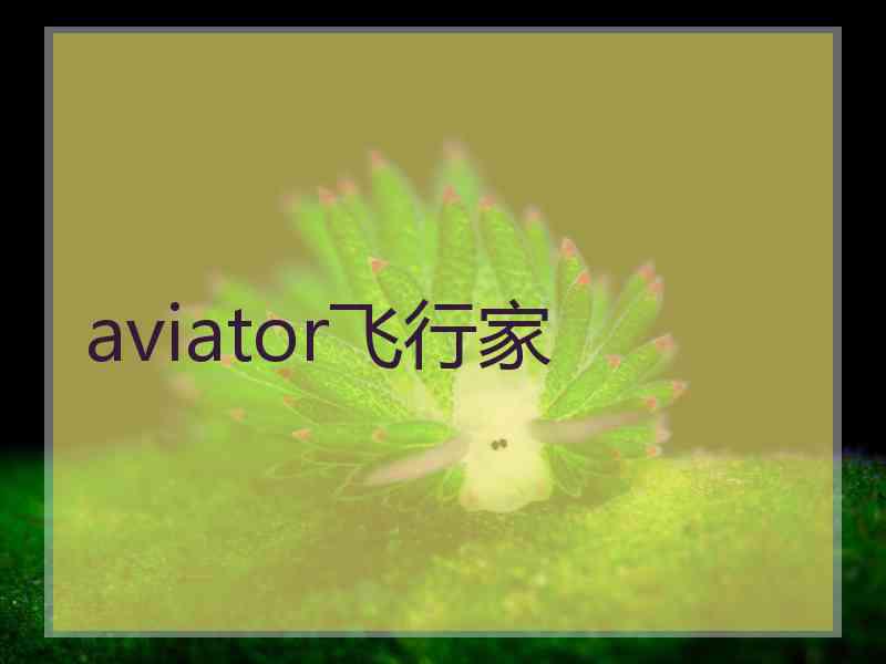 aviator飞行家