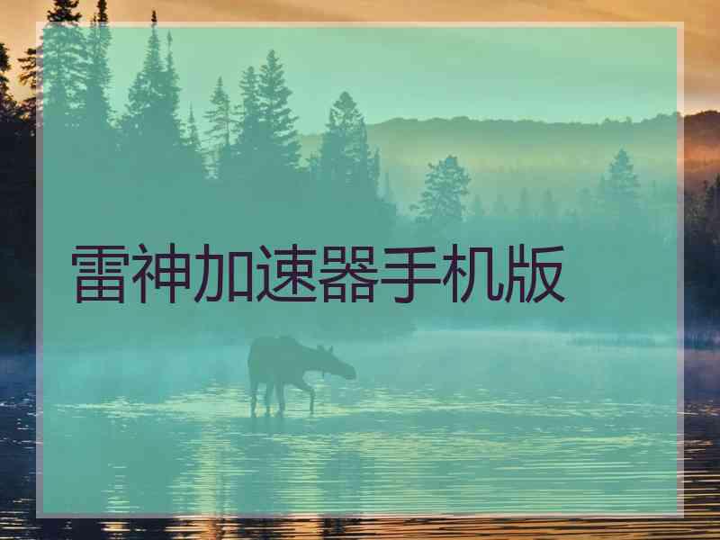 雷神加速器手机版