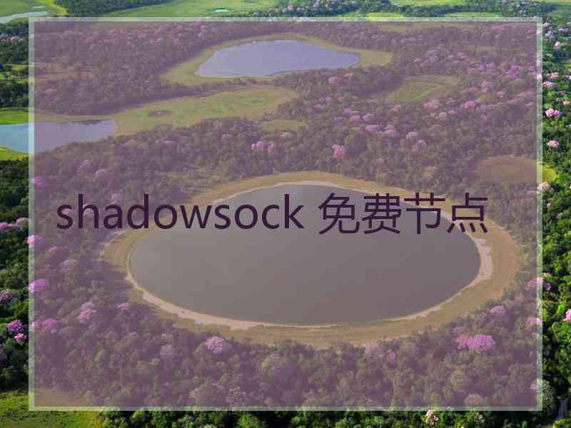 shadowsock 免费节点