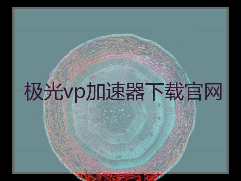 极光vp加速器下载官网