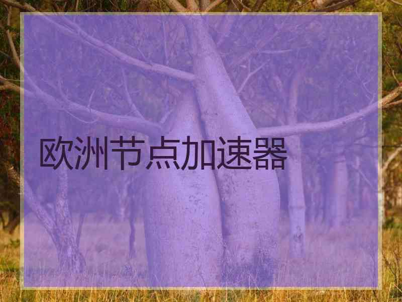 欧洲节点加速器
