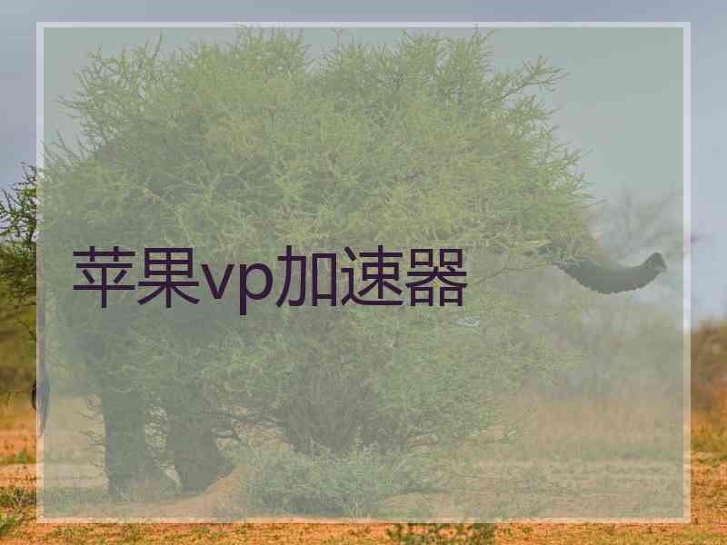苹果vp加速器