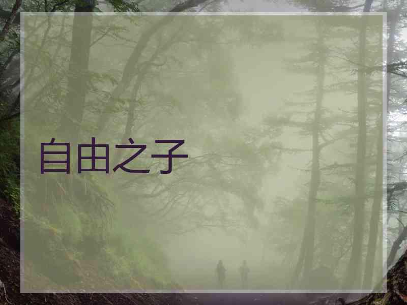 自由之子