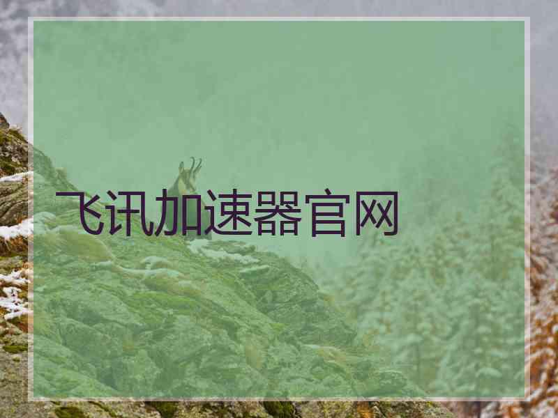 飞讯加速器官网