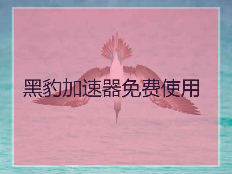 黑豹加速器免费使用