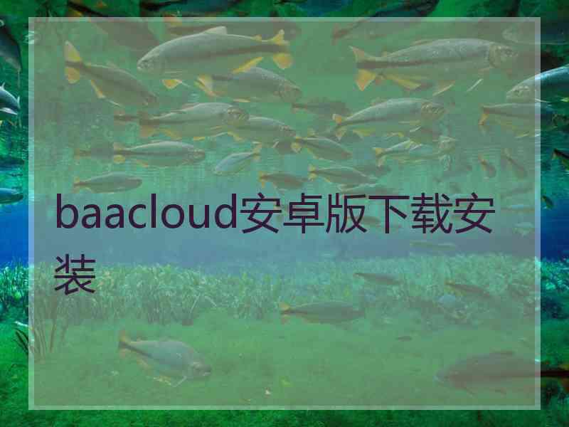 baacloud安卓版下载安装