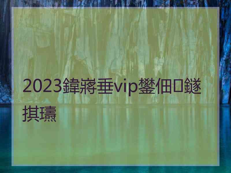 2023鍏嶈垂vip鐢佃鐩掑瓙