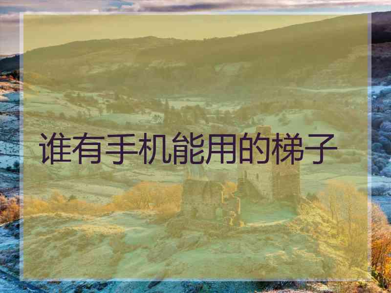 谁有手机能用的梯子