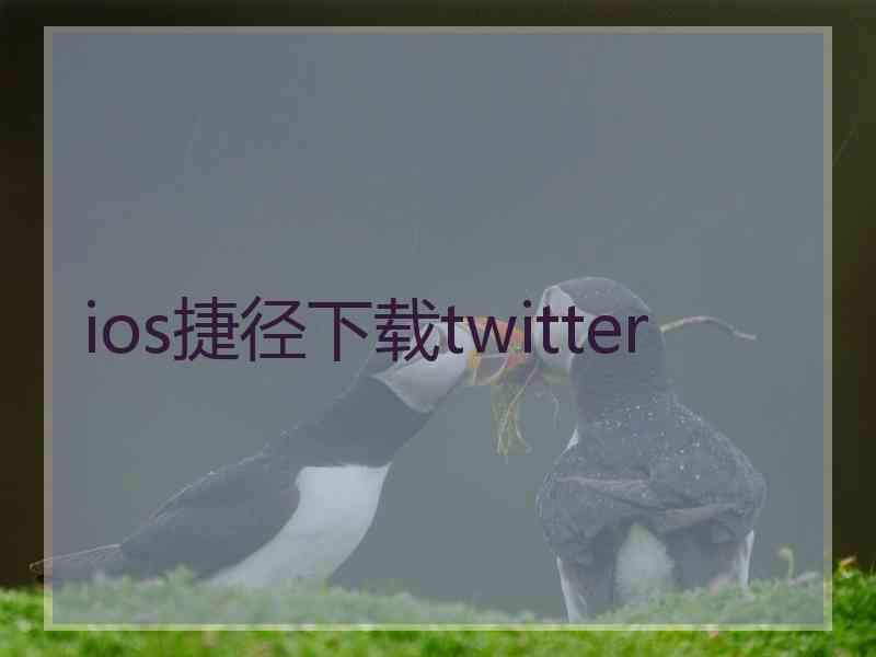 ios捷径下载twitter
