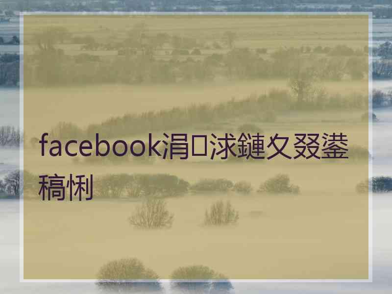 facebook涓浗鏈夊叕鍙稿悧