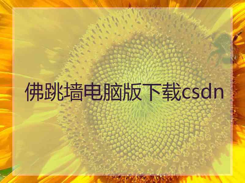 佛跳墙电脑版下载csdn