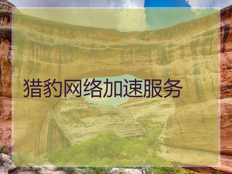 猎豹网络加速服务