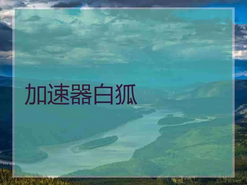 加速器白狐