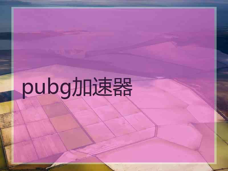 pubg加速器