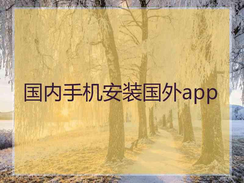 国内手机安装国外app