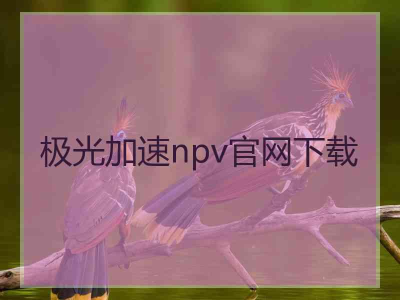 极光加速npv官网下载