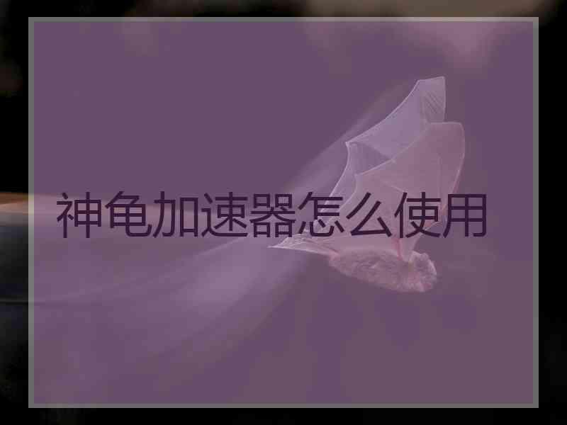 神龟加速器怎么使用