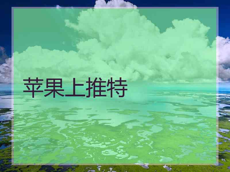 苹果上推特