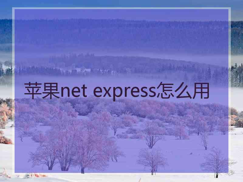 苹果net express怎么用