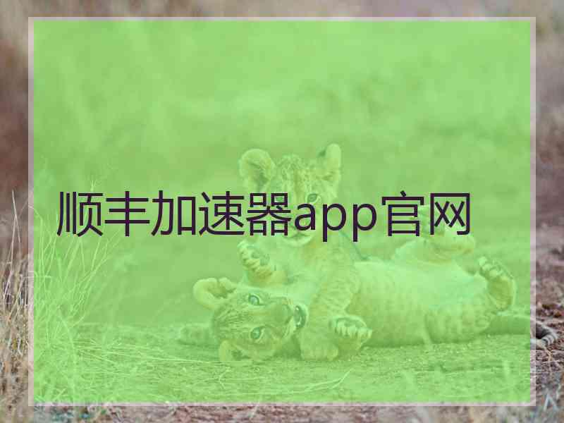 顺丰加速器app官网