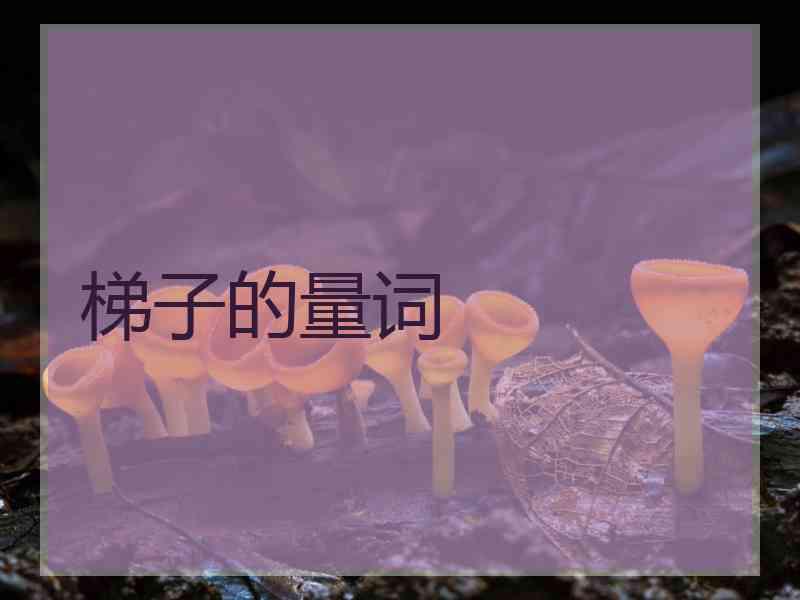 梯子的量词