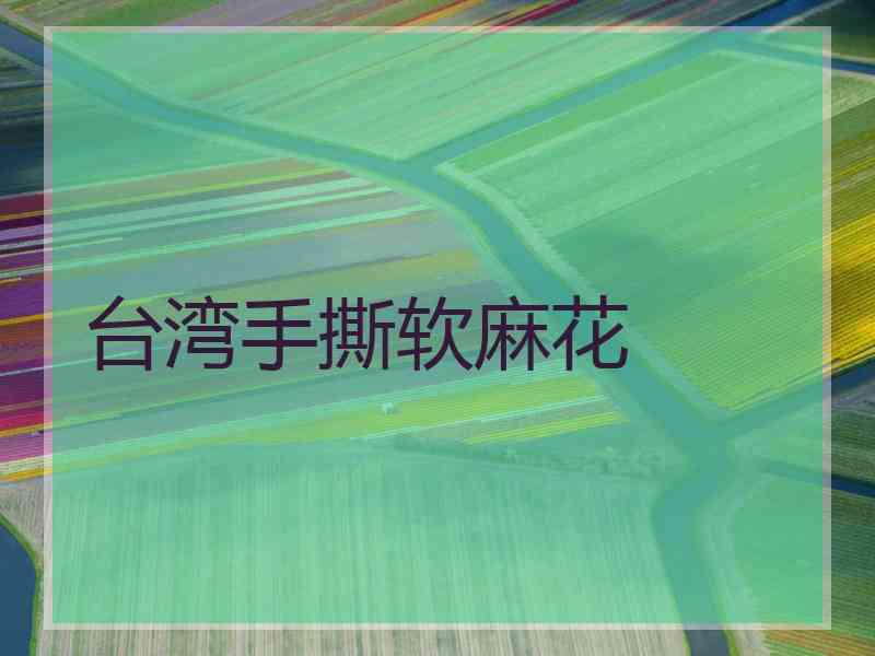台湾手撕软麻花