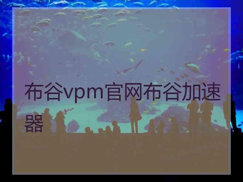 布谷vpm官网布谷加速器