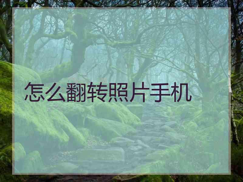 怎么翻转照片手机