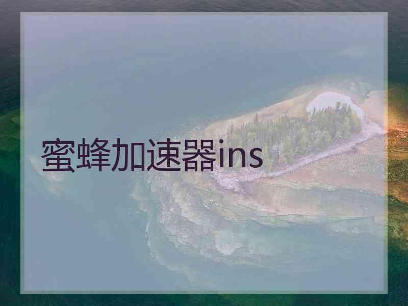 蜜蜂加速器ins